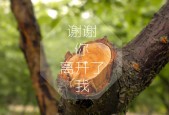 爱游戏综合娱乐-“意甲逆势突围：球队奋勇争夺欧战门票”，意甲巅峰