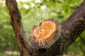 爱游戏综合娱乐-“意甲逆势突围:球队奋勇争夺欧战门票”,意甲巅峰