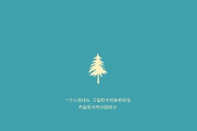 爱游戏体育平台-“沙漠来的队伍怎么在雪地这么猛?”全网热议塞内加尔,沙漠雪快速消失是为什么