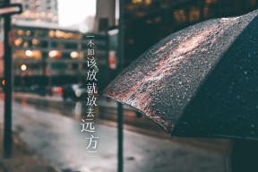 爱游戏app-“未来新星”青少年篮球名将培养计划在深圳全面展开,面向全国招募人才