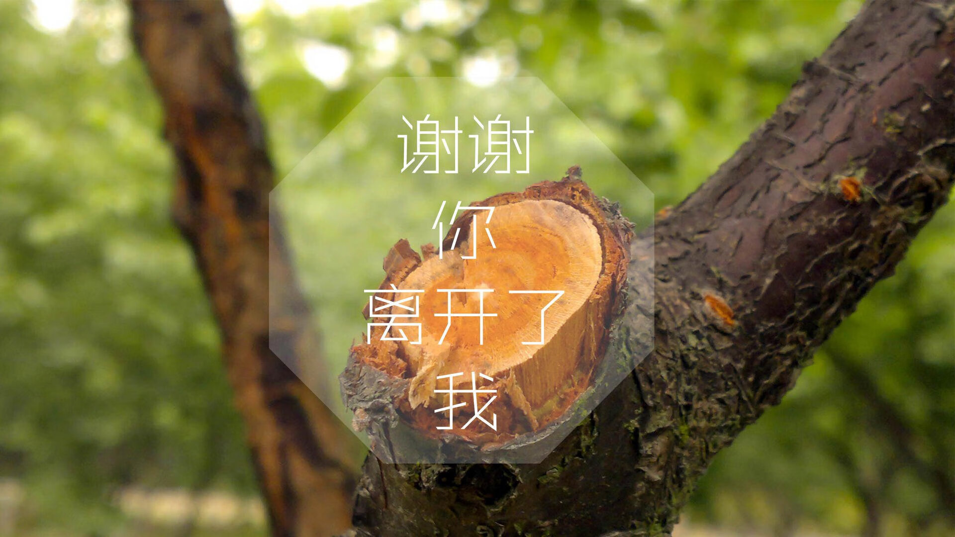 “意甲逆势突围:球队奋勇争夺欧战门票”,意甲巅峰